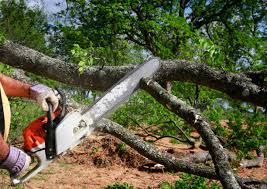 Best Grass Overseeding  in Harriman, NY
