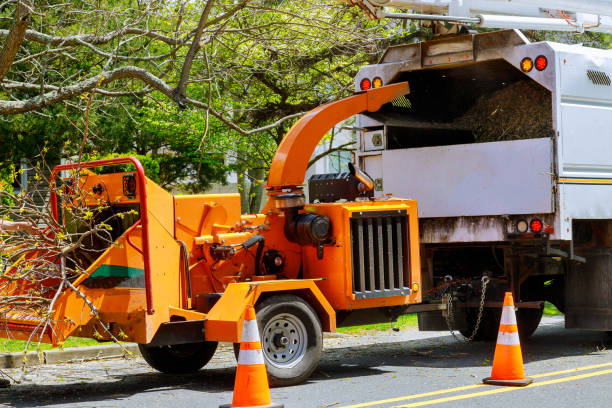 Mulching Services in Harriman, NY