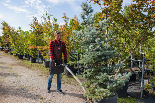 Best Seasonal Cleanup (Spring/Fall)  in Harriman, NY